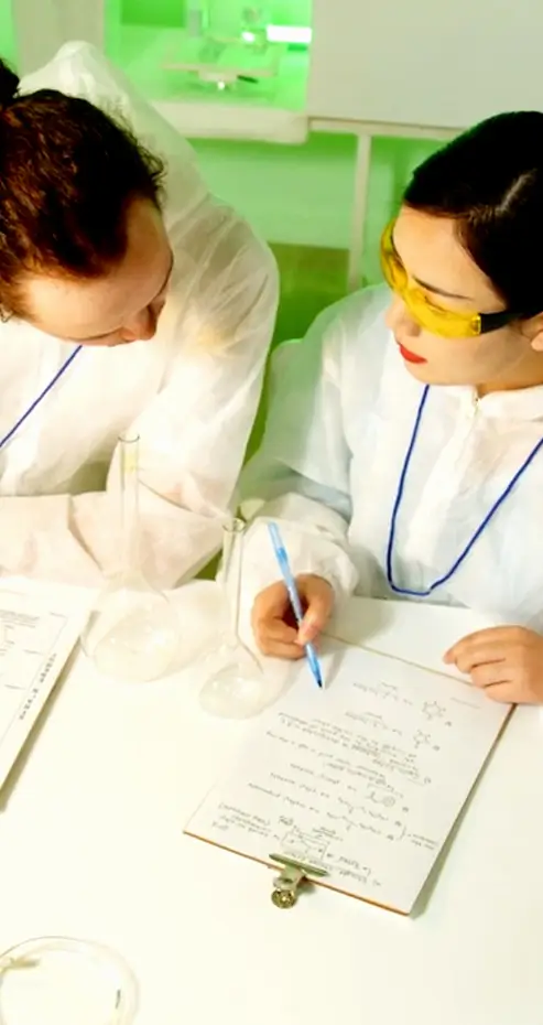 Alpha-Development-Operations-Services