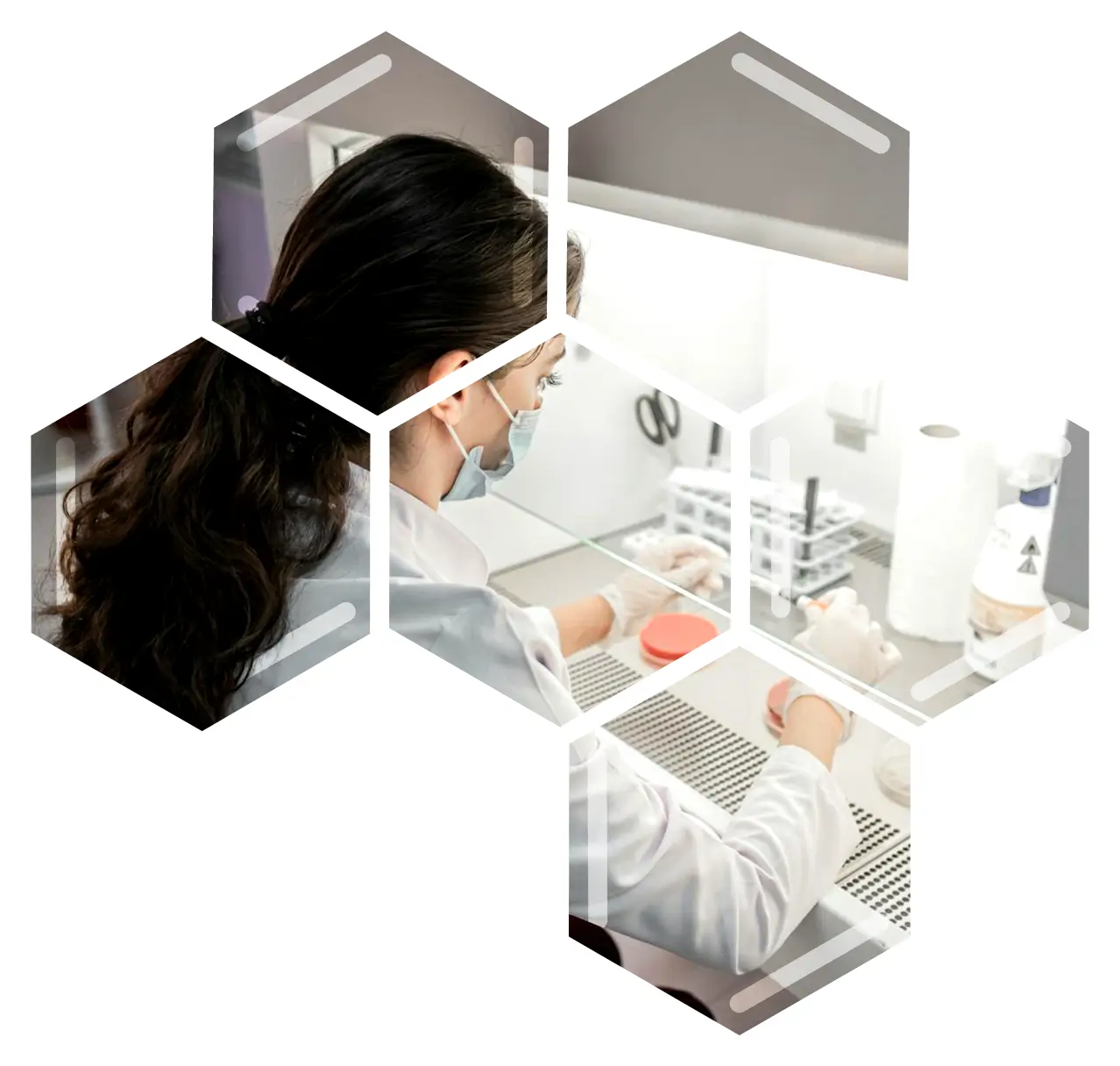 Advisory Boards and Independent Data