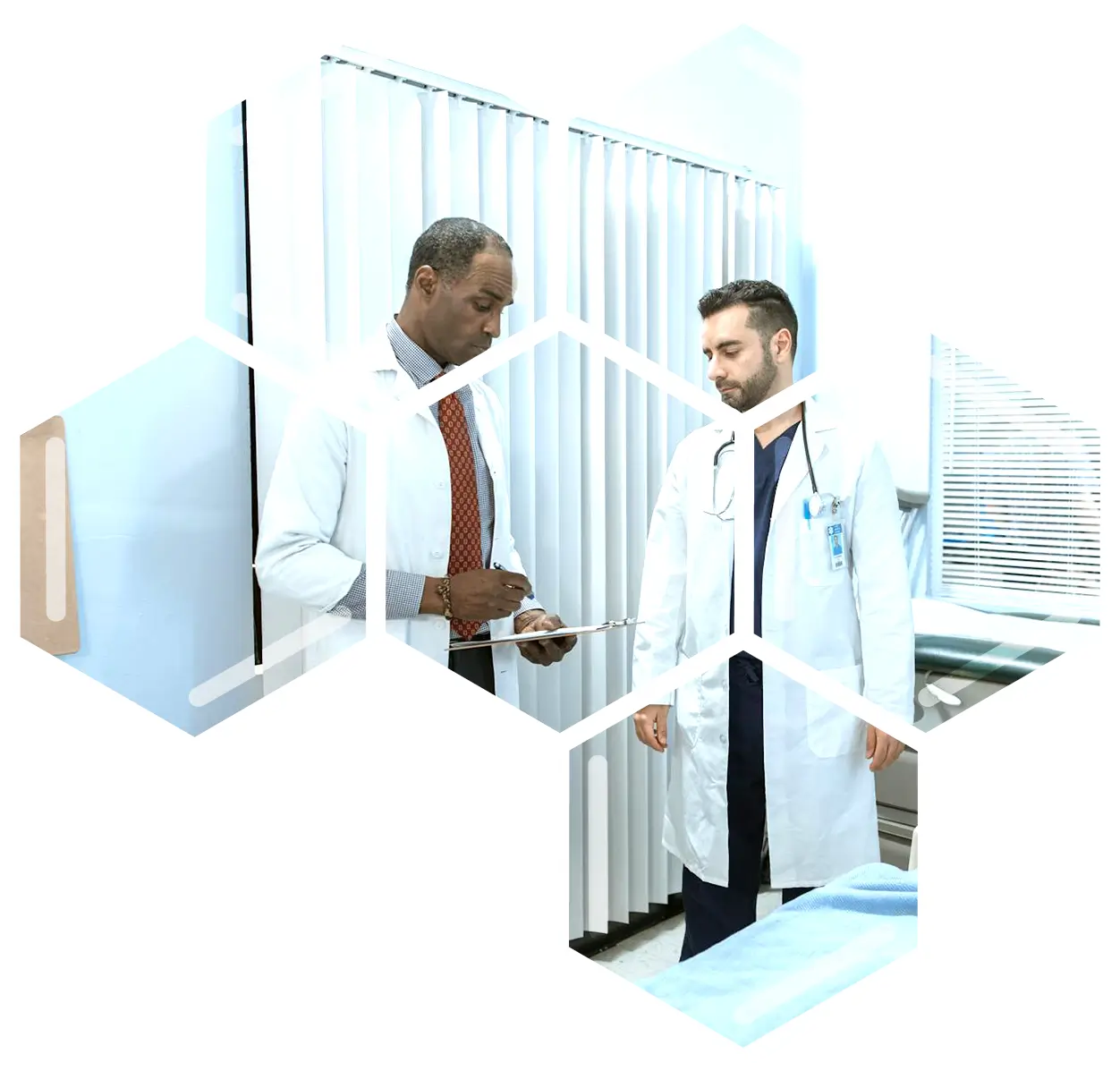 Due-Diligence-and-Portfolio-Management