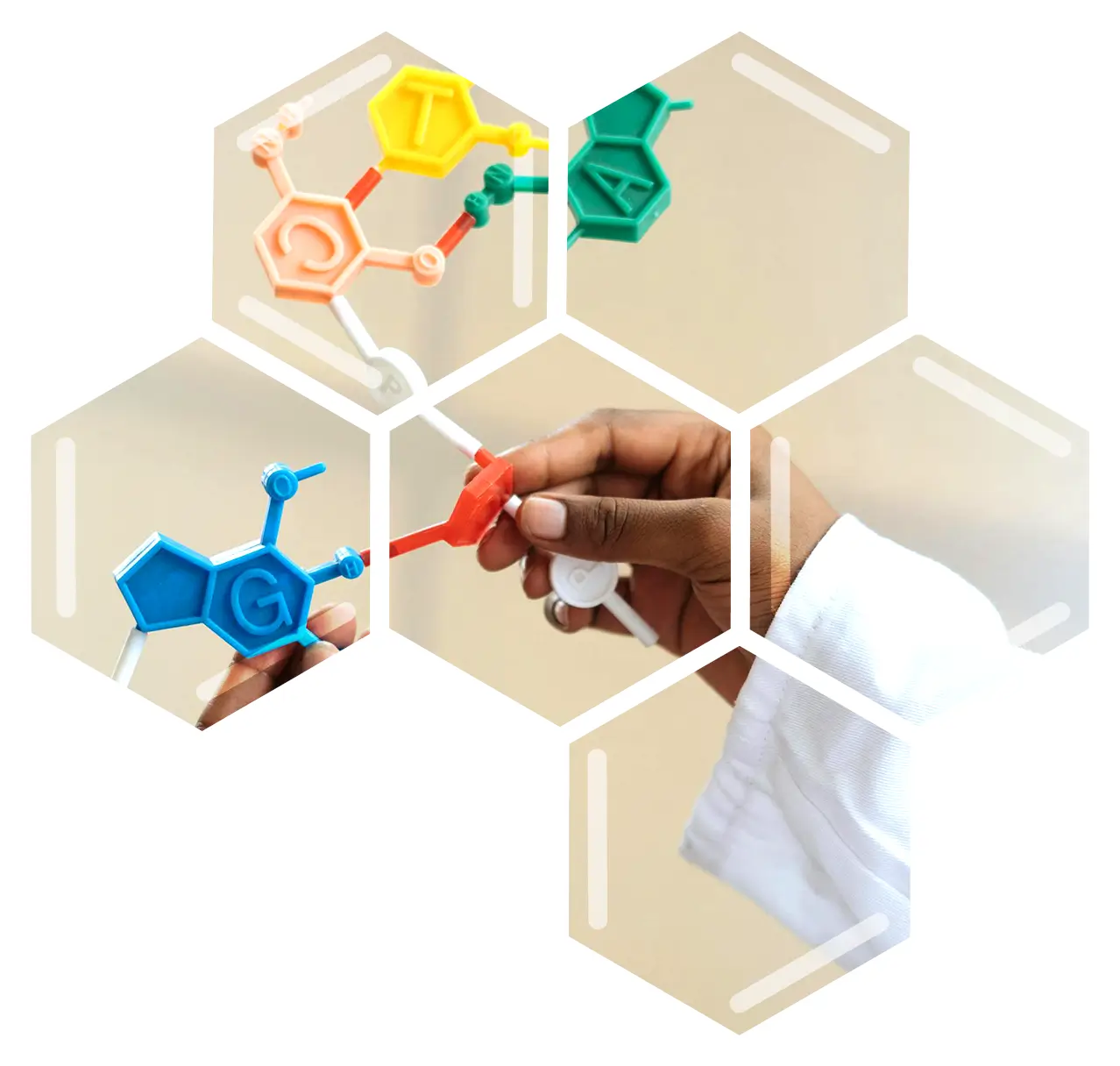 Navigate Your Clinical Development Pathway with Confidence