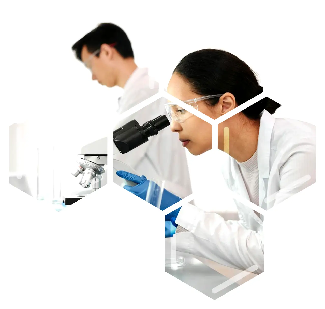 Pre-Clinical Toxicology and Pharmacology Services