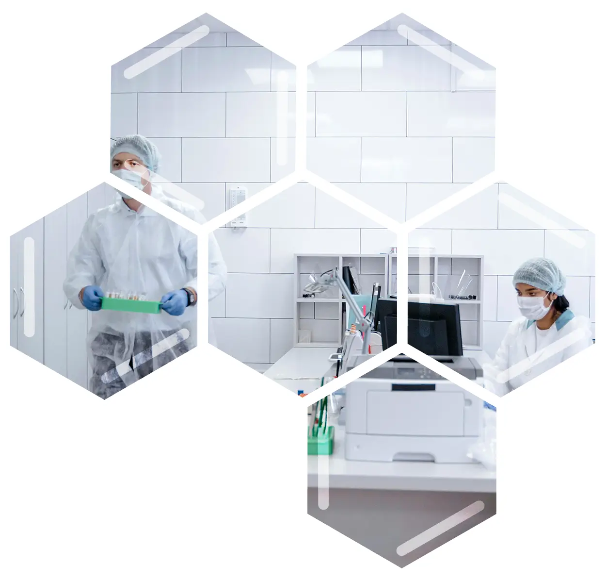 Training,-Development-and-Audits